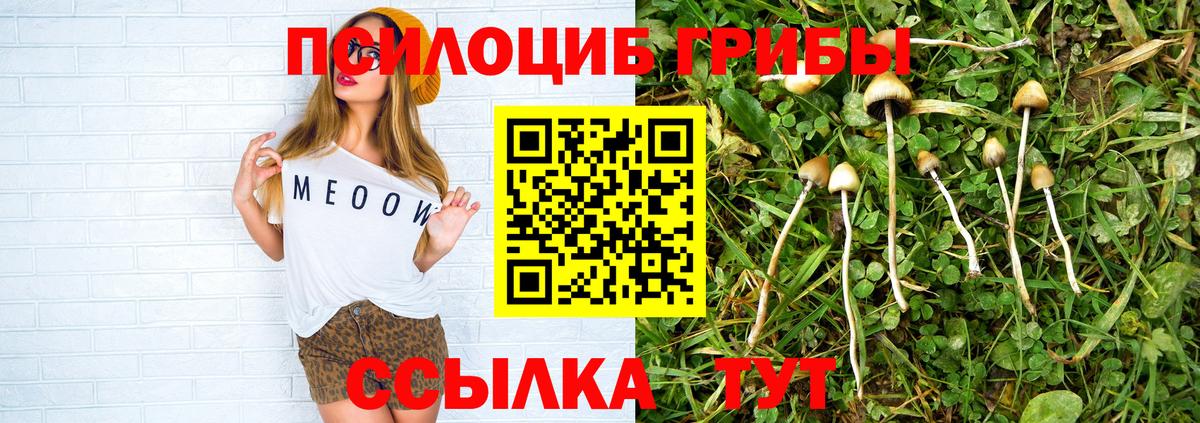 Галлюциногенные грибы Magic Shrooms  как найти закладки  Вход с VPN  Сафоново  Псилоцибиновые грибы прущие грибы 