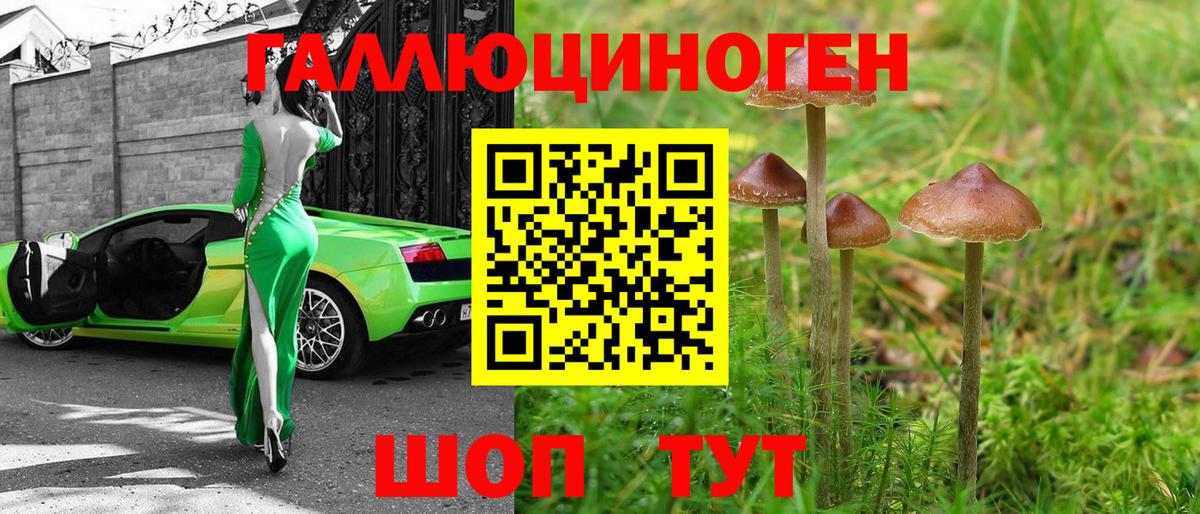 Псилоцибиновые грибы Magic Shrooms Сафоново